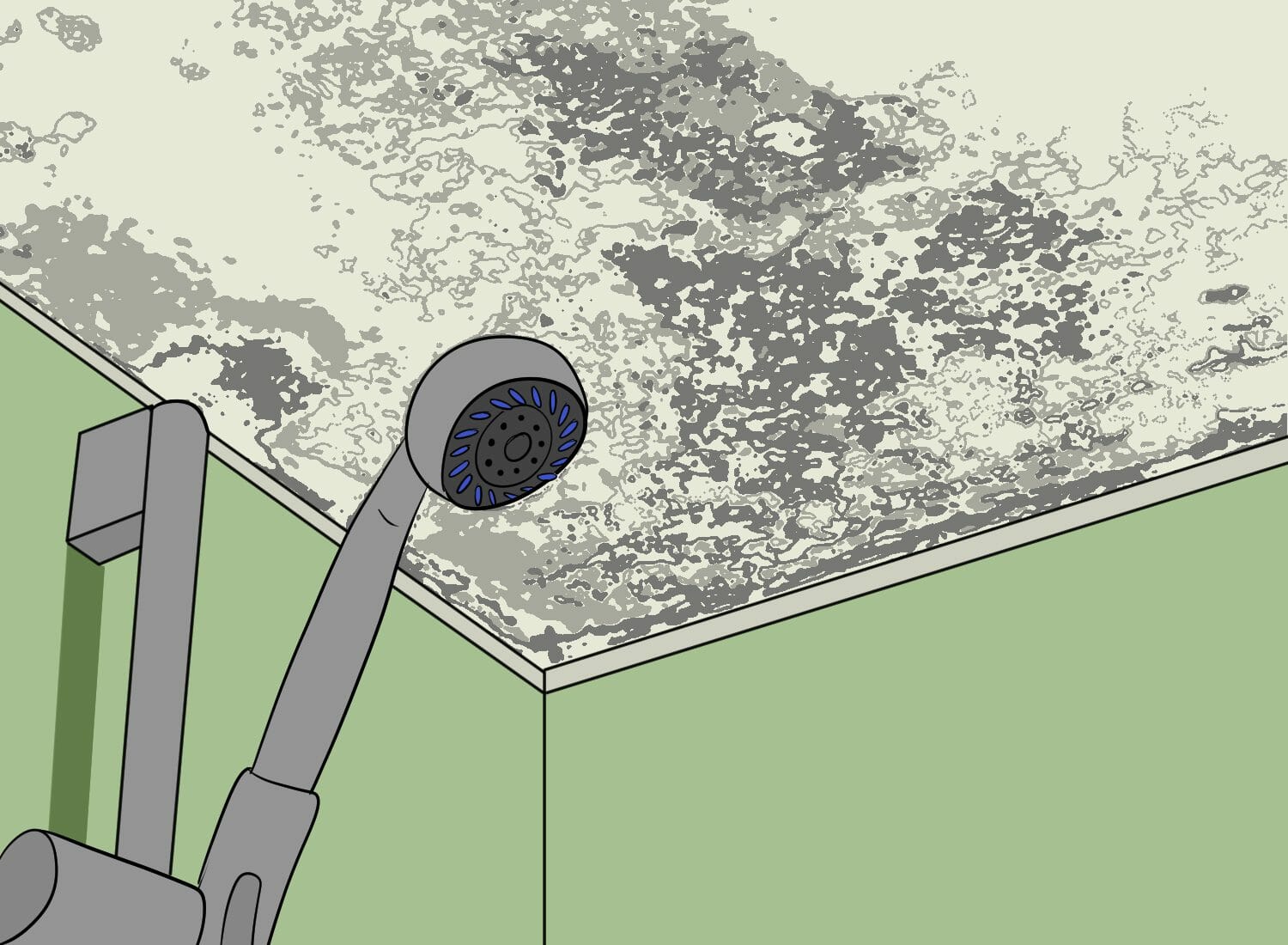 How to Easily Remove Black Mold from Your Bathroom Ceiling